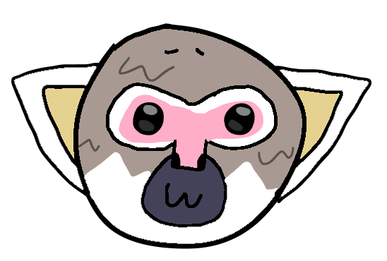 File:Monkasis's face.png