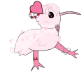Lovebird Kimalla