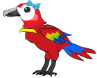 Scarlet Macaw Mimi